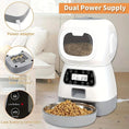 timed automatic pet feeder | large capacity pet feeder | visible food level feeder | energy saving