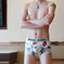 Men's Ice Silk Boxer Briefs Summer Breathable Printed Underwear Meifu Market