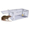 Humane Rat Trap Cage 2 Pack - Live Mouse Rodent Trap Galvanized Steel Catch Release Meifu Market