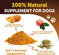 Do Not Sell On Amazon Pumpkin Powder For Dogs Digestive Support 8 OZ Fiber Supplement For Constipation For Gut Balance Hea...