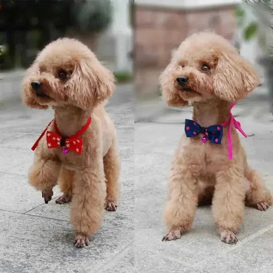 personalized pet bow tie | adjustable dog collar bow | cat bow tie accessories | energy saving