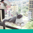 Cat Suction Cup Window Glass Hammock Pet Cat Pets Products Meifu Market
