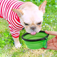 foldable pet bowl | portable dog food dish | tpr material pet bowl | ultrasonic cleaning
