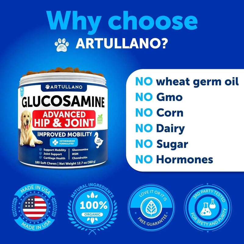 Glucosamine For Dogs Hip And Joint Supplement For Dogs With Arthritis Chews With Chondroitin Hemp Oil MSM Canine Joint Pain Relief Health Mobility Support For Large Breeds 120 Soft Treats Meifu Market
