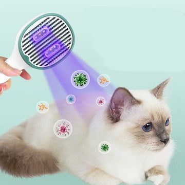 Hair Brush For Cat Sterilization Cleaner Dog Pet Supplies Meifu Market