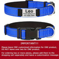 reflective dog collar | adjustable neoprene collar | padded breathable nylon collar | energy saving