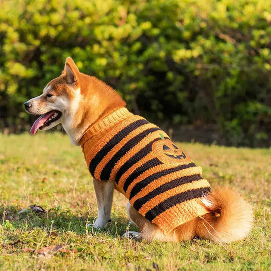 Halloween Dog Sweaters Pet Costume Teddy Warm Leisure Sweater Cosplay Clothes For Dogs Pets Outfits Orange Small Pumpkin -...