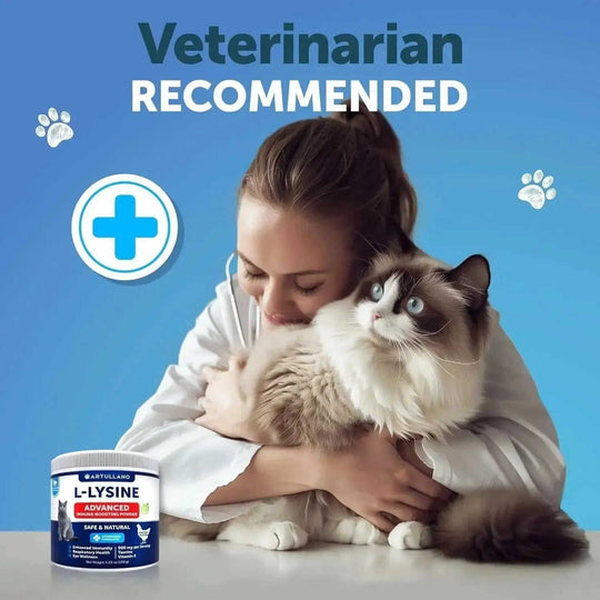 Do Not Sell On Amazon L Lysine For Cats Lysine Powder Supplement 900mg Serving Immune Support For Cats & Kittens Sneezing ...