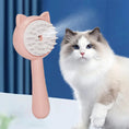 Hair Cleaning Brush With Mist Multifunctional Cat Grooming Brush Rechargeable Self Cleaning Slicker Brush For Pets Dogs & Catsb Pet Products Meifu Market