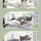 Cat Suction Cup Window Glass Hammock Pet Cat Pets Products Meifu Market