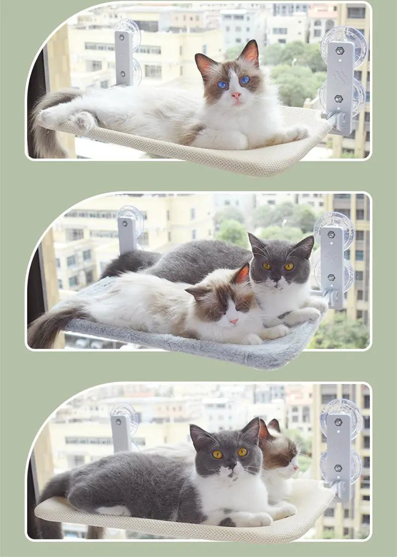 Cat Suction Cup Window Glass Hammock Pet Cat Pets Products Meifu Market