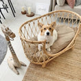 Pet Bed Handmade Rattan Woven Pet Bed Sofa For Dogs Meifu Market