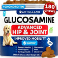 Glucosamine For Dogs Hip And Joint Supplement For Dogs With Arthritis Chews With Chondroitin Hemp Oil MSM Canine Joint Pain Relief Health Mobility Support For Large Breeds 120 Soft Treats Meifu Market