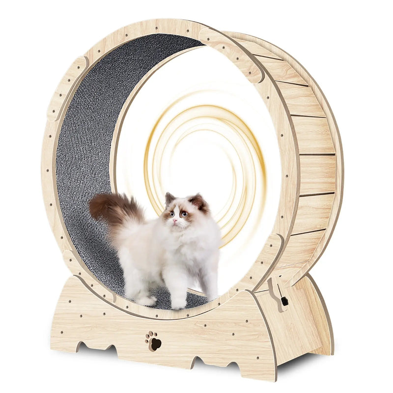 Cat Exercise Wheel For Indoor Cats, Running Wheel With Carpeted Runway Meifu Market
