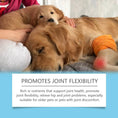 Pet Care Drops Enhance Immunity Dog Nutrition Supplement For Cats Meifu Market