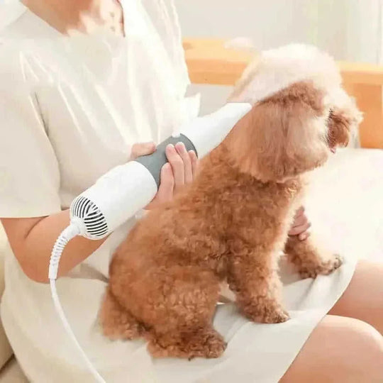 w high-power motor | dual voltage pet dryer | 2-in-1 grooming comb | ultrasonic cleaning
