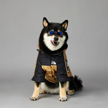 Dog Large Dog Raincoat Pet Jacket Meifu Market