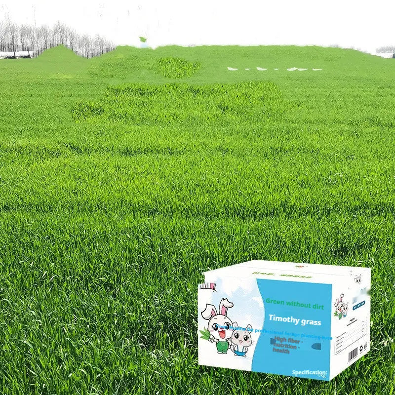 Dried Timothy FCL Hay Snacks Feed Chinchilla Guinea Pig Food Rabbits Pet Products Meifu Market