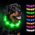 rechargeable pet collar | led dog collar | glowing cat collar | ultrasonic cleaning