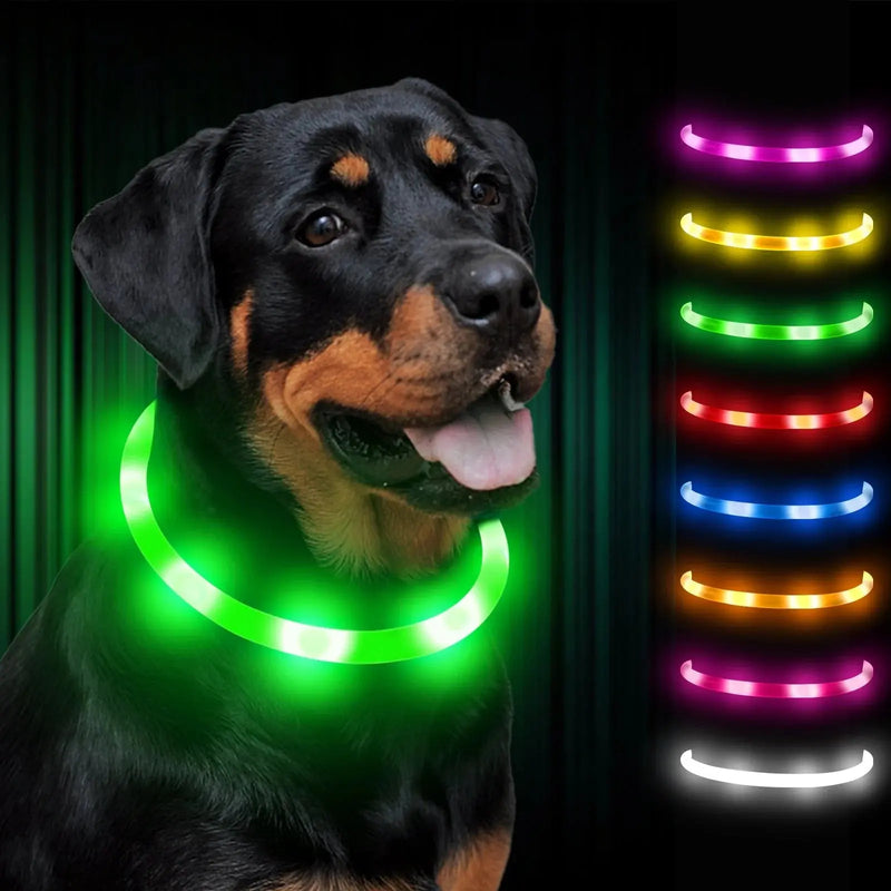 rechargeable pet collar | led dog collar | glowing cat collar | ultrasonic cleaning