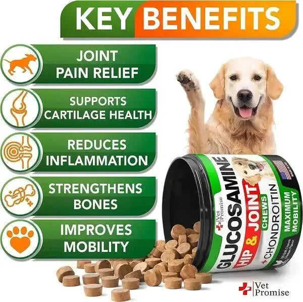 Glucosamine For Dogs 2 Pack Hip And Joint Supplement With Chondroitin 240 Chews Meifu Market