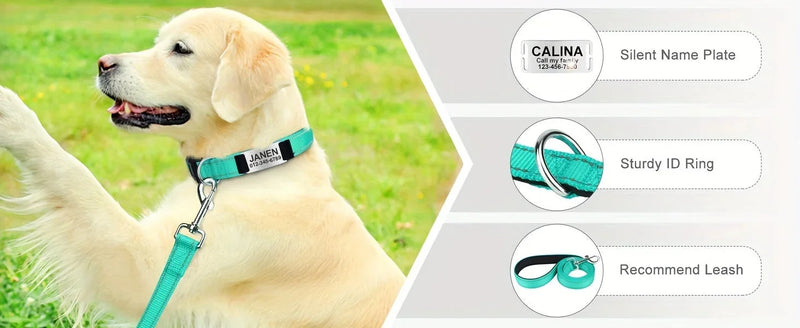 reflective dog collar | adjustable neoprene collar | padded breathable nylon collar | energy saving