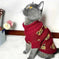 Adorable Cartoon Bear Pet Hoodie - Soft, Cozy, and Festive Christmas Sweater for Cats and Dogs - Keep Your Pet Warm and...