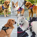 reflective dog vest harness | comfortable mesh dog harness | safety pet vest | ultrasonic cleaning