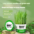 Lazy Cat Grass Canned Hydroponic Soilless Depilation Ball Digestive Snacks Meifu Market