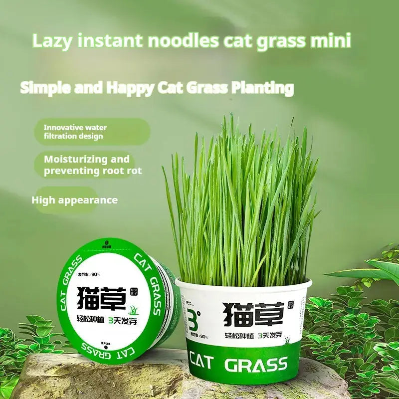 Lazy Cat Grass Canned Hydroponic Soilless Depilation Ball Digestive Snacks Meifu Market