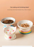 ceramic pet bowl | elevated dog bowl | inclined cat dish | ultrasonic cleaning
