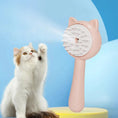 Hair Cleaning Brush With Mist Multifunctional Cat Grooming Brush Rechargeable Self Cleaning Slicker Brush For Pets Dogs & Catsb Pet Products Meifu Market