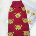 adorable pet hoodie | cozy bear sweater | festive christmas pet wear | energy saving