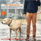 Dog Training Collar Receiver IP67 Waterproof Style1 - reverse side showing construction