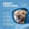 Hemp Calming Chews For Dogs Dog Calming Treats Anxiety Relief For Dogs Meifu Market