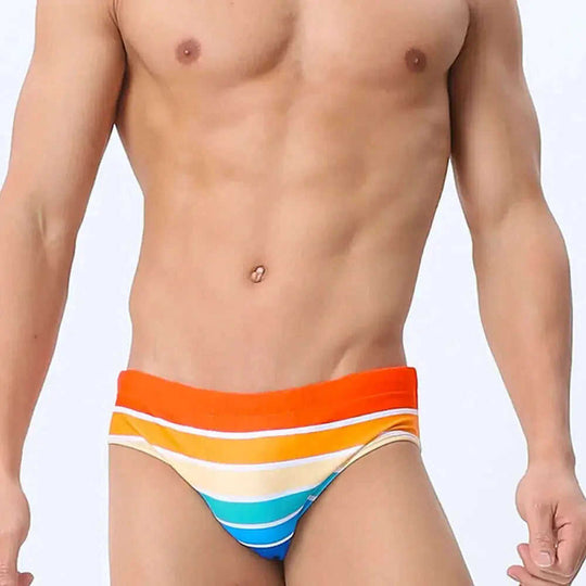 Men's Multi-Color Stripe Print Swim Briefs Holiday Beachwear Meifu Market