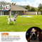 990FT Range Dog Wireless Fence Remote Training Collar IPX6 Waterproof Receiver With 0-9 Levels Beep Vibration Shock Mode...