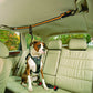 Pet Safety Belt Dual-purpose Car Lanyard Meifu Market