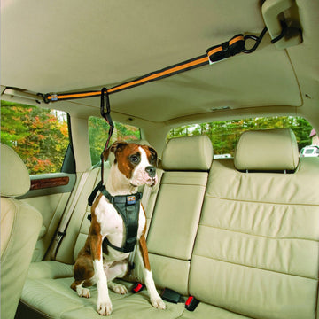 Pet Safety Belt Dual-purpose Car Lanyard Meifu Market