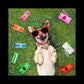 leak-proof dog waste bags | biodegradable pet poop bags | extra-large capacity dog bags | energy saving