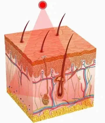 ion export import tool | skin care beauty instrument | professional facial massager | ultrasonic cleaning