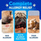 Do Not Sell On Amazon Dog Allergy Relief Chews Itching Skin Relief For Dogs Fish Oil 3 Seasonal Allergies Pills Skin & Coa...