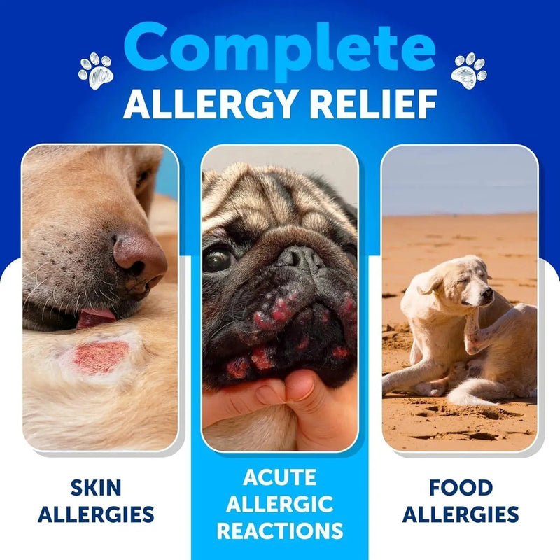 Do Not Sell On Amazon Dog Allergy Relief Chews Itching Skin Relief For Dogs Fish Oil 3 Seasonal Allergies Pills Skin & Coat Anti ItchHot Spots Treatment Canine Immune Health Supplement 180 Soft Treats Meifu Market