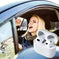 Airpod 3rd Charging Case Wireless Earphone - back view (color: white | pattern: check)