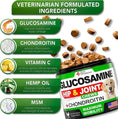 Glucosamine For Dogs 2 Pack Hip And Joint Supplement With Chondroitin 240 Chews Meifu Market