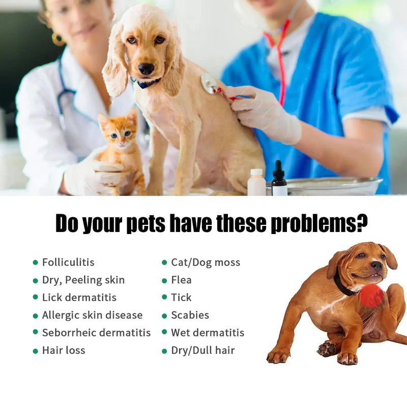 Pet Hair Care Relieve Skin Itching Hair Fluffy Soft Care Solution Meifu Market