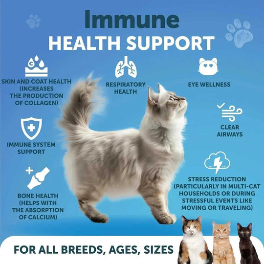 Do Not Sell On Amazon L Lysine For Cats Lysine Powder Supplement 900mg Serving Immune Support For Cats & Kittens Sneezing ...
