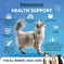 Do Not Sell On Amazon L Lysine For Cats Lysine Powder Supplement 900mg Serving Immune Support For Cats & Kittens Sneezing ...