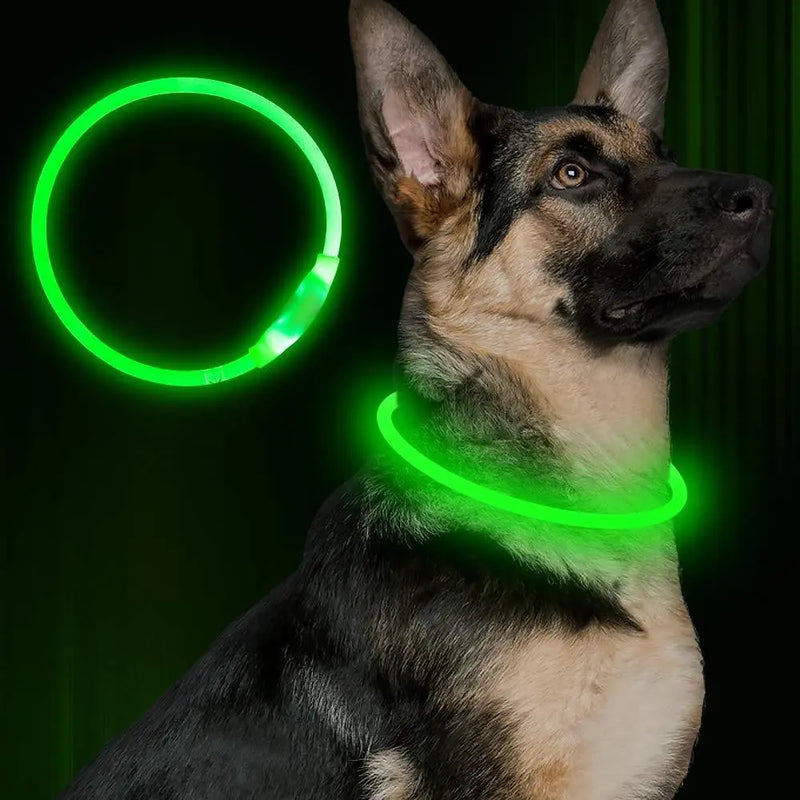 Pet Flashing Collar USB Rechargeable Glowing Necklace Safety Collar Light Up Collars For Night Walking Electric Dog Collar Neon Meifu Market