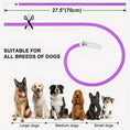 rechargeable pet collar | led dog collar | glowing cat collar | energy saving